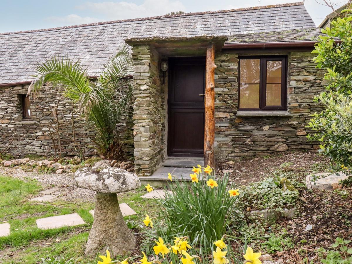 Downrow Barn Villa Tintagel Ngoại thất bức ảnh